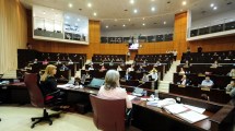 Imagen de Diputados del MPN exigen que los legisladores nacionales de Neuquén rechacen el DNU de Milei