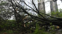 Imagen de Temporal Bahía Blanca: un joven grababa videos del temporal y el viento se llevó su sillón en vivo