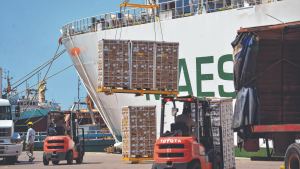 Los precios de comercio exterior cayeron casi un 3% en el primer trimestre
