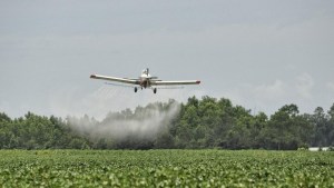 Día Mundial de la lucha contra los agrotóxicos: la esperanza está en el cultivo agroecológico