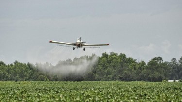 Día Mundial de la lucha contra los agrotóxicos: la esperanza está en el cultivo agroecológico