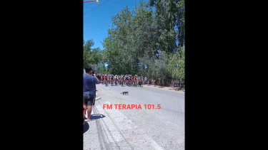 Un gato se cruzó por la calle durante la carrera de ciclismo y generó caídas. (Foto: Captura Video FM Terapia)