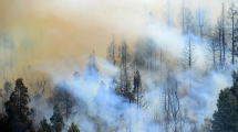 Imagen de ¿Descuido? La ley de Manejo del Fuego fue omitida en el DNU
