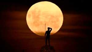 Puerto Madryn: buscaba el mejor ángulo para fotografiar la luna llena y mirá lo que encontró&#8230;