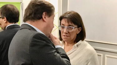La senadora Mónica Silva votará a favor de la Ley Bases en general, según anticipó Weretilneck. Archivo