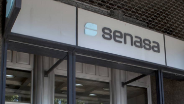 Quién es Pablo Cortese, el ingeniero agrónomo que estará al frente del Senasa con el gobierno de Milei