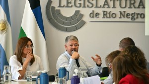 Objetan el rol de auditor de un exministro en el Tribunal de Cuentas de Río Negro