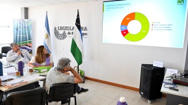 Vaisberg dio detalles acerca del presupuesto en comisiones.
Foto: Marcelo Ochoa