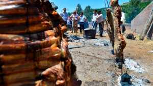 Verano en Neuquén: el calendario con las fiestas populares que no te podés perder