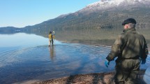 Imagen de Qué indican los monitoreos del alga Didymo en el parque Nahuel Huapi
