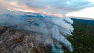 Incendio en parque Los Alerces: cómo continúan las tareas de los brigadistas para sofocar el fuego