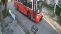 Imagen de Milei pidió a Bullrich detener a un colectivero que atropelló y mató un perro: así celebraron el operativo
