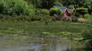 Ambientalistas esperan cambios en la política municipal de Bariloche
