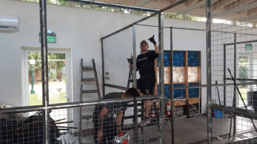 Javier Milei mostró el avance de los caniles en la Quinta de Olivos. 