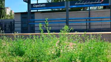 Se cumplen dos años del último viaje del Tren del Valle a Cipolletti. Foto: Florencia Salto