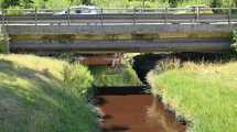 Imagen de El canal «Los milicos» de Cipolletti lleva más de 70 años contaminando los ríos del Alto Valle