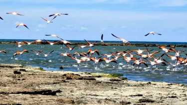 Las Grutas bajo la ola de calor: dónde darse un chapuzón cuándo baje la marea