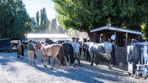 La Expo Rural de Junín ya despliega todo su esplendor, con entrada libre y gratuita