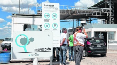 El Senasa efectúa controles en los sitios de ingreso a la Patagonia en el Río Colorado (Archivo)