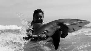 Pescan tiburones y ayudan a preservarlos, historia de una pasión que es ley