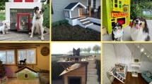 Imagen de 10 ejemplos de arquitectura perruna que te van a hacer decir «guau»