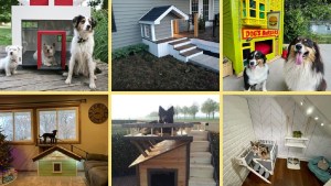 10 ejemplos de arquitectura perruna que te van a hacer decir «guau»