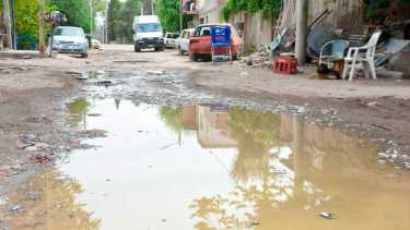 Crecen los casos de dengue en el país y coexisten dos variantes. Foto: ilustración Matías Subat.