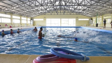 La otitis se da con mayor frecuencia en verano y la pueden causar varios tipos de bacteria u hongos. Foto archivo.