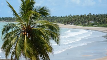 Mar color azul cielo, posadas con encanto, buena gastronomía, playas de cuento y pequeñas lanchas pesqueras: así es un mar color azul cielo, posadas con encanto, buena gastronomía, playas sin oleaje y pequeñas lanchas pesqueras. Así es São Miguel dos Milagres
