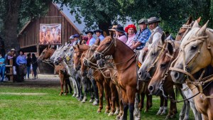 La agenda completa de la Expo Rural en Junín de los Andes