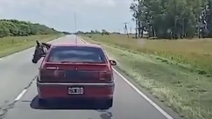 Insólito: llevaba un caballo adentro del auto en medio de una ruta de Córdoba