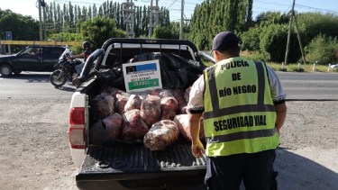 Decomisaron más de 350 kilos de carne vacuna durante el operativo. Foto: Gentileza.