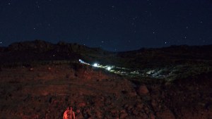 Incendio de pastizales entre Caviahue y Loncopué: apagaron los últimos focos pero continúan las tareas