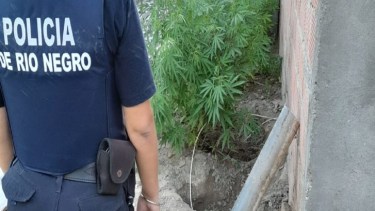 Foto: Gentileza Policía de Río Negro.