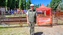 Imagen de Remates de hacienda: Abraham Neiman ya es marca registrada