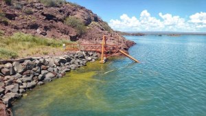 ¿Vas al lago en Neuquén?: Mirá cómo está el alerta por floración de algas en El Chocón este fin de semana