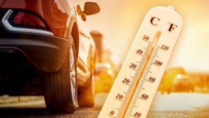 Calor: cuáles son las máximas en Neuquén, Las Grutas, Roca y Bariloche este jueves