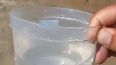 Alerta por algas contaminantes en lagos de Neuquén: ¿El agua es apta para el consumo? 