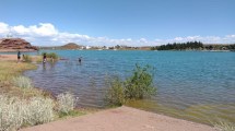 Imagen de Así sigue el alerta por floración de algas contaminantes en los lagos de Neuquén