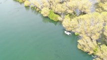 Imagen de Pescador desaparecido en el río Limay, en Piedra del Águila: se rastrillaron islas de El Chocón