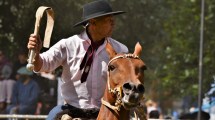 Imagen de Comenzó la Expo Rural de Junín, mirá todo lo que hay para ver y visitar