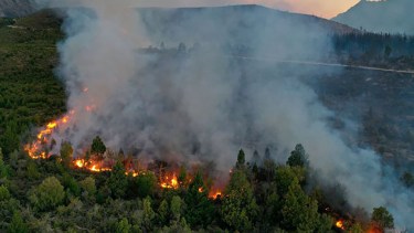 El fuego ya arrasó 2.000 hectáreas en Los Alerces.  Foto: Marcelo Martínez