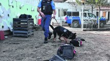 Imagen de Emily, la perra antinarcóticos detectó una millonaria carga de droga en la terminal de Neuquén