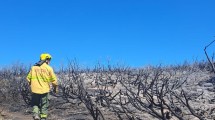 Imagen de El incendio en el parque nacional Lanín, cerca del lago Rucachoroi ya superó las 24 horas