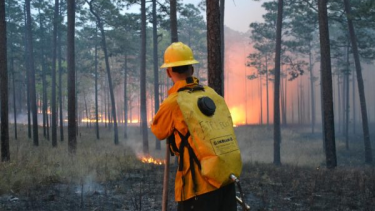 Piden evitar realizar fogatas en lugares no habilitados.