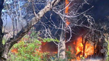 El incendio ocurrió este miércoles en Paso Córdoba. Foto: gentileza