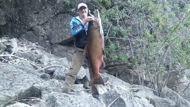Impresionante. César Austin y el salmón del Pacífico de 22,5 kilos, un metro y medio de largo y entre 45 y 50 cm de ancho en el pozón a 5 km de Carrenleufú, hermoso pueblo de 450 habitantes en la cordillera.  Se ubica sobre la ruta provincial 44 a un km del paso fronterizo, y a 12 km del pueblo de Palena, en Chile. 