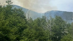 Controlaron el incendio en el loteo Lago Hermoso, cerca de San Martín de los Andes
