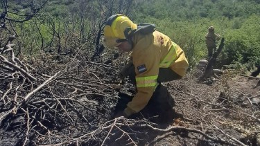 El incendio quedó en la segunda etapa del combate, está "circunscrito". Foto: Archivo. 