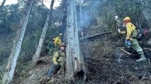 Imagen de Incendio en el parque Nahuel Huapi: continúan los trabajos y advierten por la caída de árboles de gran tamaño